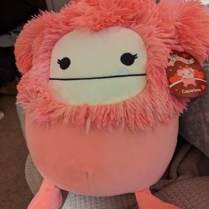 Valentines Capparinne 12in Squishmallow